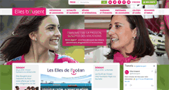 Desktop Screenshot of ellesbougent.com
